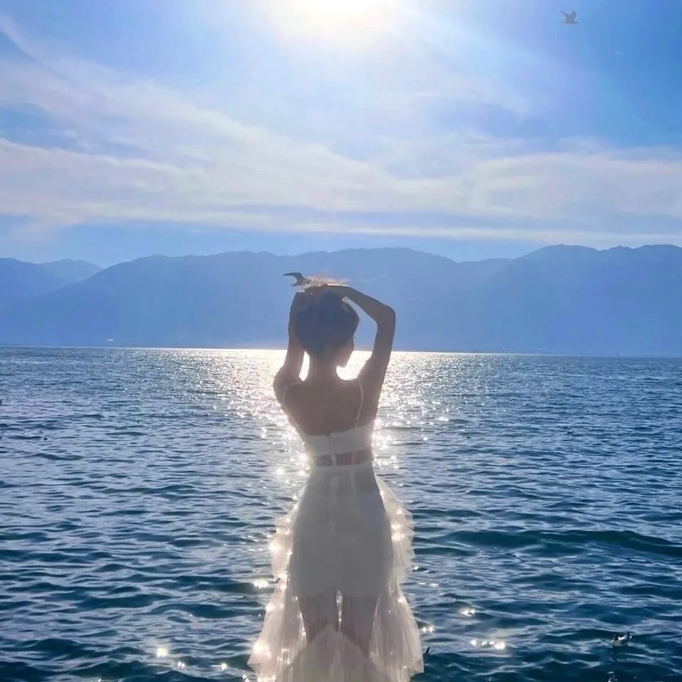 林肯律师第一季 海报